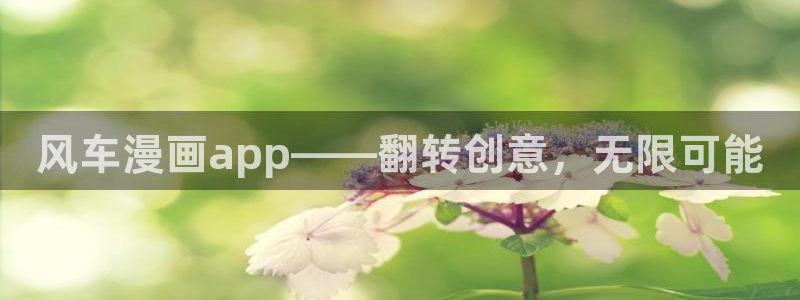 拷贝漫画注册不了怎么办：风车漫画app——翻转创意，无限可能