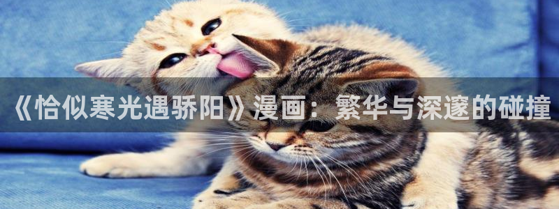 拷贝漫画2.4.3：《恰似寒光遇骄阳》漫画：繁华与深邃的碰撞