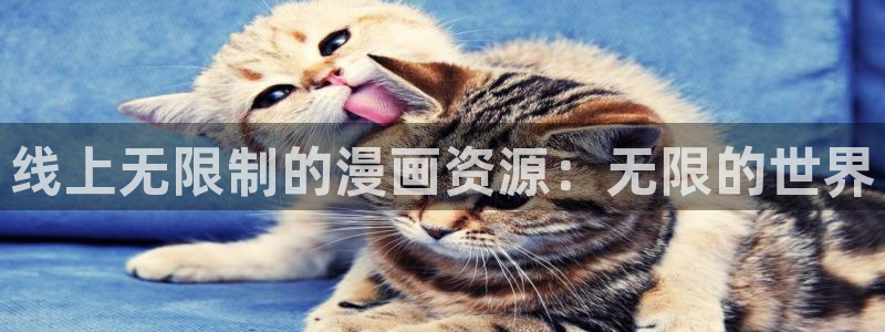 拷贝漫昼：线上无限制的漫画资源：无限的世界