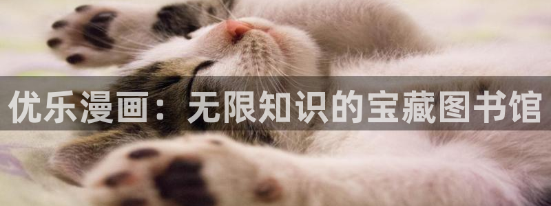 拷贝漫画ios官网入口