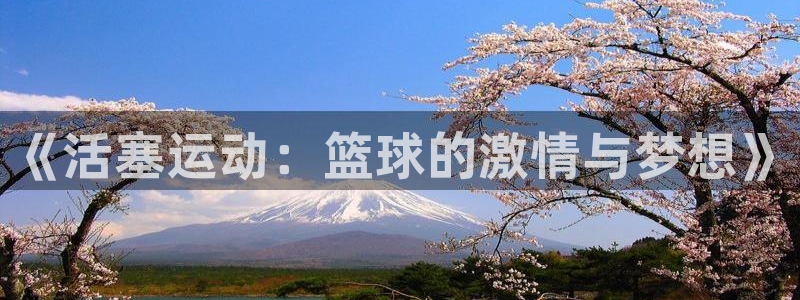 拷贝漫画苹果下载：《活塞运动：篮球的激情与梦想》