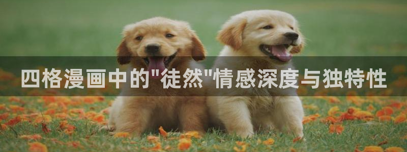 拷贝漫画加载不出来：四格漫画中的\